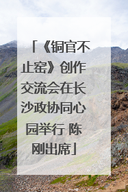 《铜官不止窑》创作交流会在长沙政协同心园举行 陈刚出席