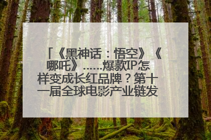 《黑神话：悟空》《哪吒》……爆款IP怎样变成长红品牌？第十一届全球电影产业链发展论坛举行