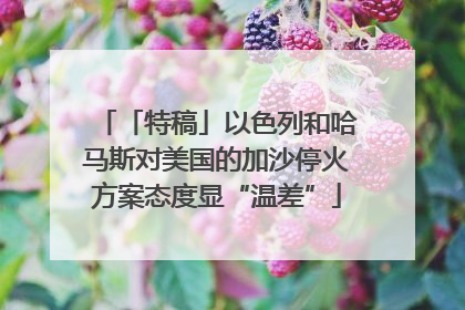 「特稿」以色列和哈马斯对美国的加沙停火方案态度显“温差”