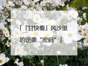 「甘快看」风沙里的逆袭“密码”