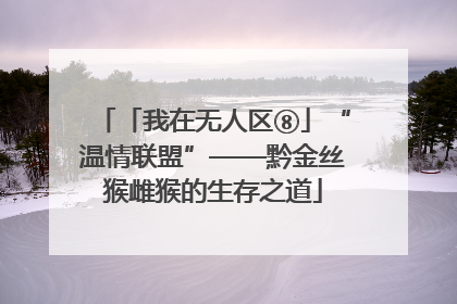 「我在无人区⑧」“温情联盟”——黔金丝猴雌猴的生存之道