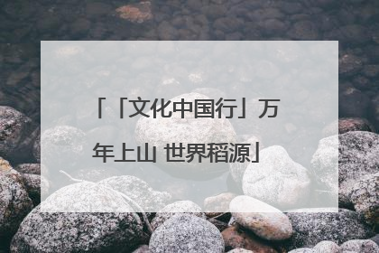 「文化中国行」万年上山 世界稻源