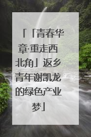 「青春华章·重走西北角」返乡青年谢凯龙的绿色产业梦