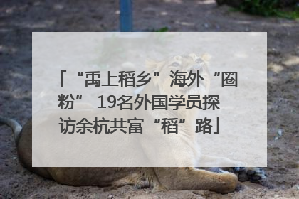 “禹上稻乡”海外“圈粉” 19名外国学员探访余杭共富“稻”路