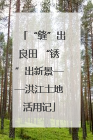 “缝”出良田 “锈”出新景——洪江土地活用记