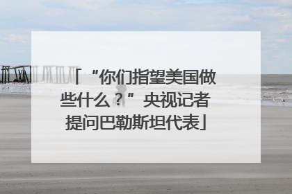 “你们指望美国做些什么？”央视记者提问巴勒斯坦代表