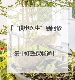 “供电医生”勤问诊 集中修整保畅通