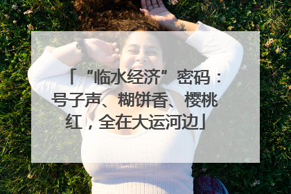 “临水经济”密码：号子声、糊饼香、樱桃红，全在大运河边