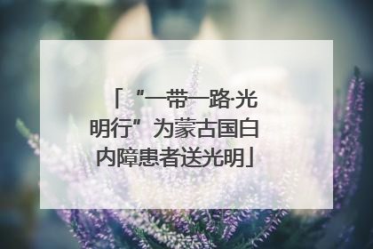 “一带一路·光明行”为蒙古国白内障患者送光明