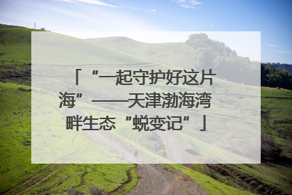 “一起守护好这片海”——天津渤海湾畔生态“蜕变记”