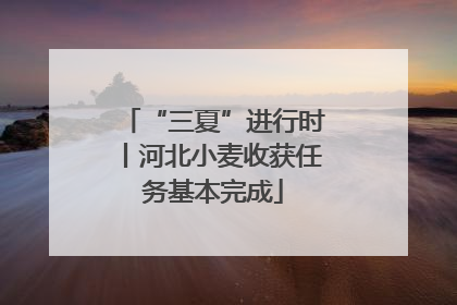 “三夏”进行时丨河北小麦收获任务基本完成