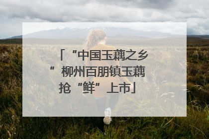“中国玉藕之乡”柳州百朋镇玉藕抢“鲜”上市
