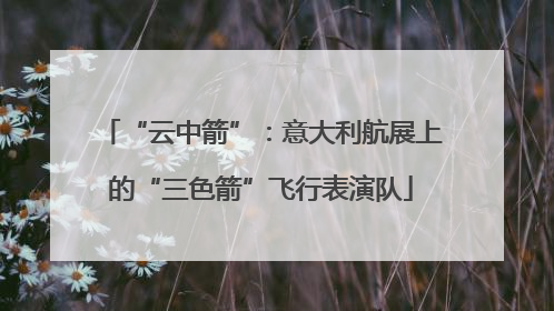 “云中箭”：意大利航展上的“三色箭”飞行表演队