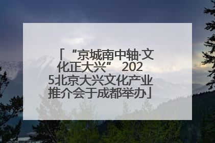 “京城南中轴·文化正大兴” 2025北京大兴文化产业推介会于成都举办