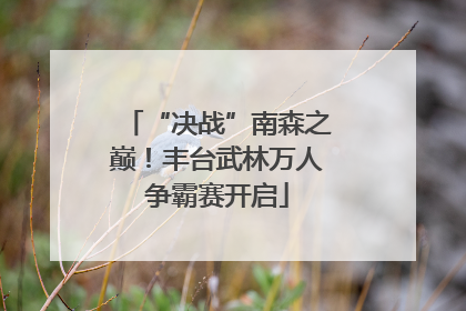 “决战”南森之巅！丰台武林万人争霸赛开启