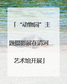 “动物园”主题摄影展在清河艺术馆开展
