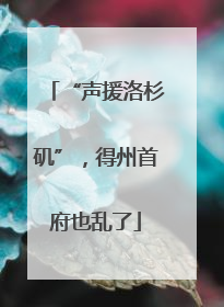 “声援洛杉矶”，得州首府也乱了