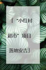 “小红村超市”项目落地安吉