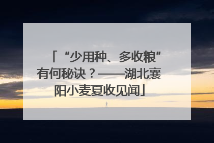 “少用种、多收粮”有何秘诀？——湖北襄阳小麦夏收见闻