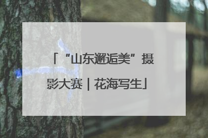“山东邂逅美”摄影大赛｜花海写生