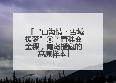 “山海情・雪域援梦”⑧：青稞变金稞，青岛援藏的高原样本