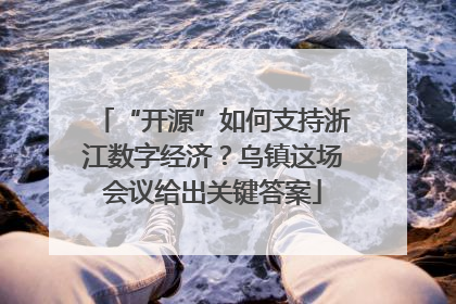 “开源”如何支持浙江数字经济？乌镇这场会议给出关键答案