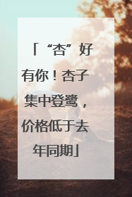 “杏”好有你！杏子集中登鹭，价格低于去年同期