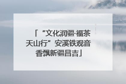 “文化润疆·福茶天山行”安溪铁观音香飘新疆昌吉