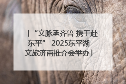 “文脉承齐鲁 携手赴东平” 2025东平湖文旅济南推介会举办