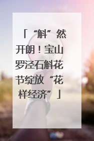 “斛”然开朗！宝山罗泾石斛花节绽放“花样经济”
