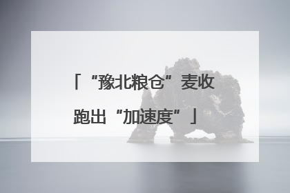 “豫北粮仓”麦收跑出“加速度”