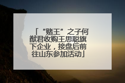 “赌王”之子何猷君收购王思聪旗下企业，接盘后前往山东参加活动