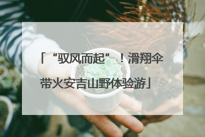 “驭风而起”！滑翔伞带火安吉山野体验游
