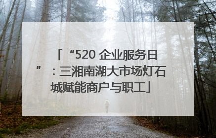“520 企业服务日”：三湘南湖大市场灯石城赋能商户与职工
