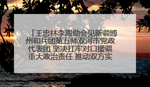 王忠林李殿勋会见新疆博州和兵团第五师双河市党政代表团 坚决扛牢对口援疆重大政治责任 推动双方实现优势互补务实合作