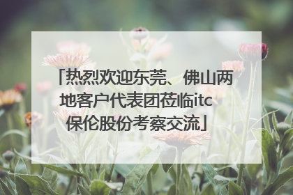 热烈欢迎东莞、佛山两地客户代表团莅临itc保伦股份考察交流