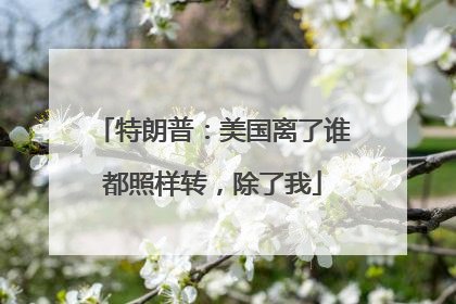 特朗普：美国离了谁都照样转，除了我