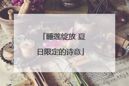 睡莲绽放 夏日限定的诗意