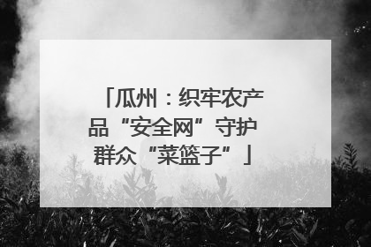 瓜州：织牢农产品“安全网”守护群众“菜篮子”
