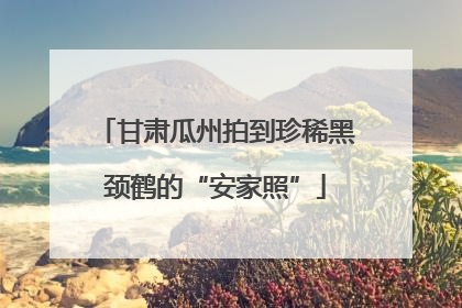 甘肃瓜州拍到珍稀黑颈鹤的“安家照”