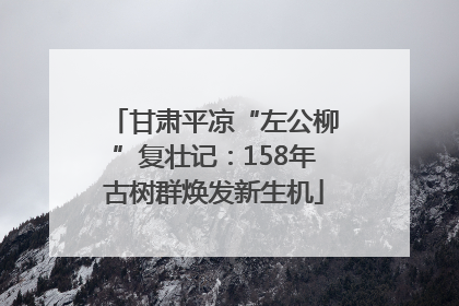 甘肃平凉“左公柳”复壮记：158年古树群焕发新生机