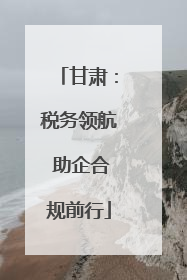 甘肃：税务领航 助企合规前行