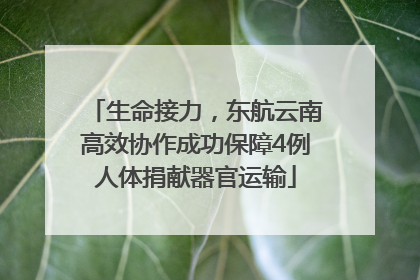 生命接力，东航云南高效协作成功保障4例人体捐献器官运输