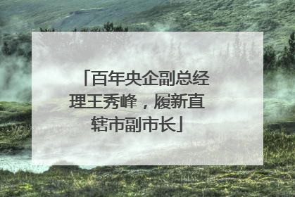 百年央企副总经理王秀峰，履新直辖市副市长