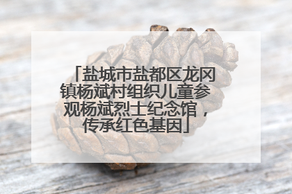 盐城市盐都区龙冈镇杨斌村组织儿童参观杨斌烈士纪念馆，传承红色基因