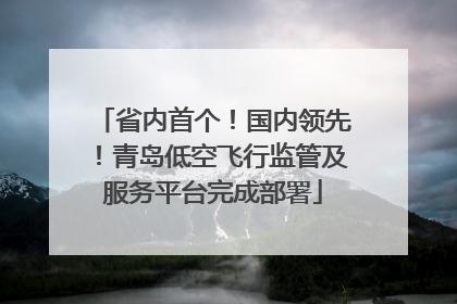 省内首个！国内领先！青岛低空飞行监管及服务平台完成部署