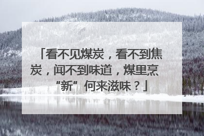 看不见煤炭，看不到焦炭，闻不到味道，煤里烹“新”何来滋味？