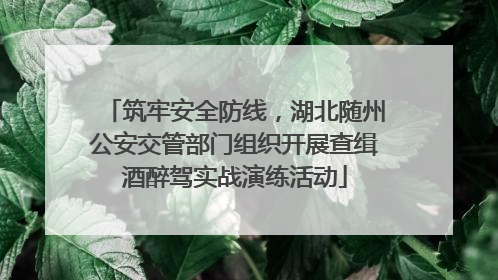 筑牢安全防线，湖北随州公安交管部门组织开展查缉酒醉驾实战演练活动