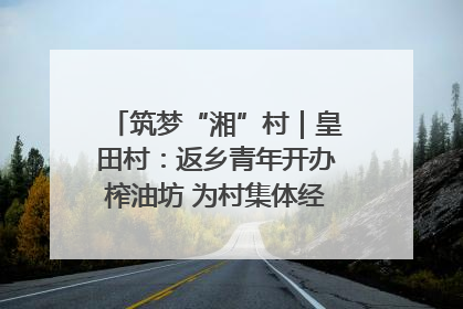 筑梦“湘”村｜皇田村：返乡青年开办榨油坊 为村集体经济“加油”