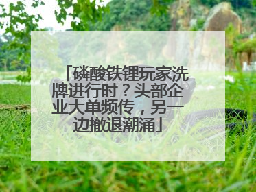 磷酸铁锂玩家洗牌进行时？头部企业大单频传，另一边撤退潮涌